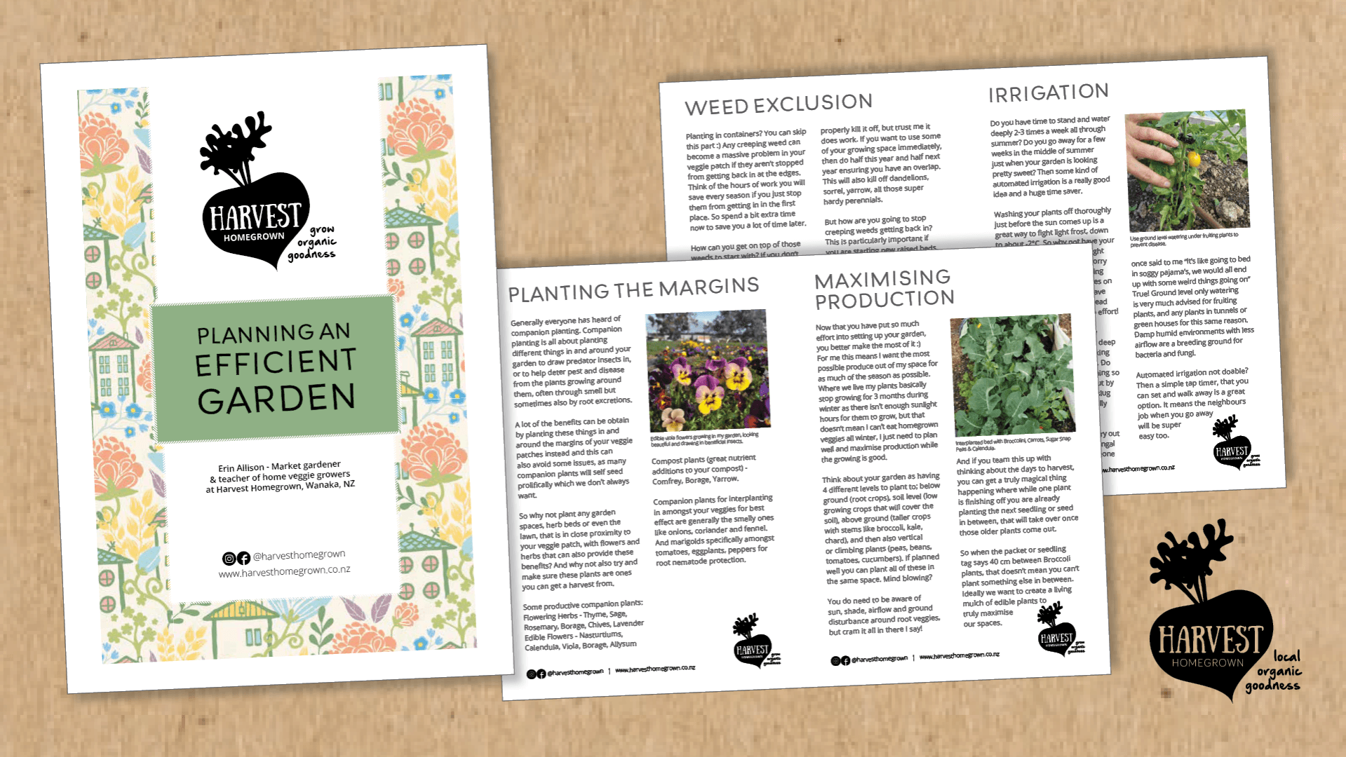 Planning an Efficient Garden