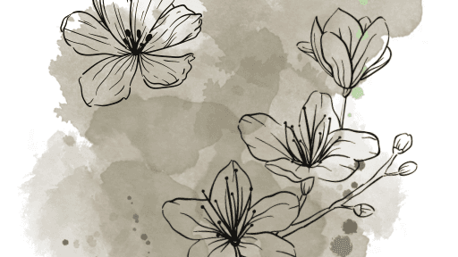 Get Affirmation on Self-Acceptance for FREE