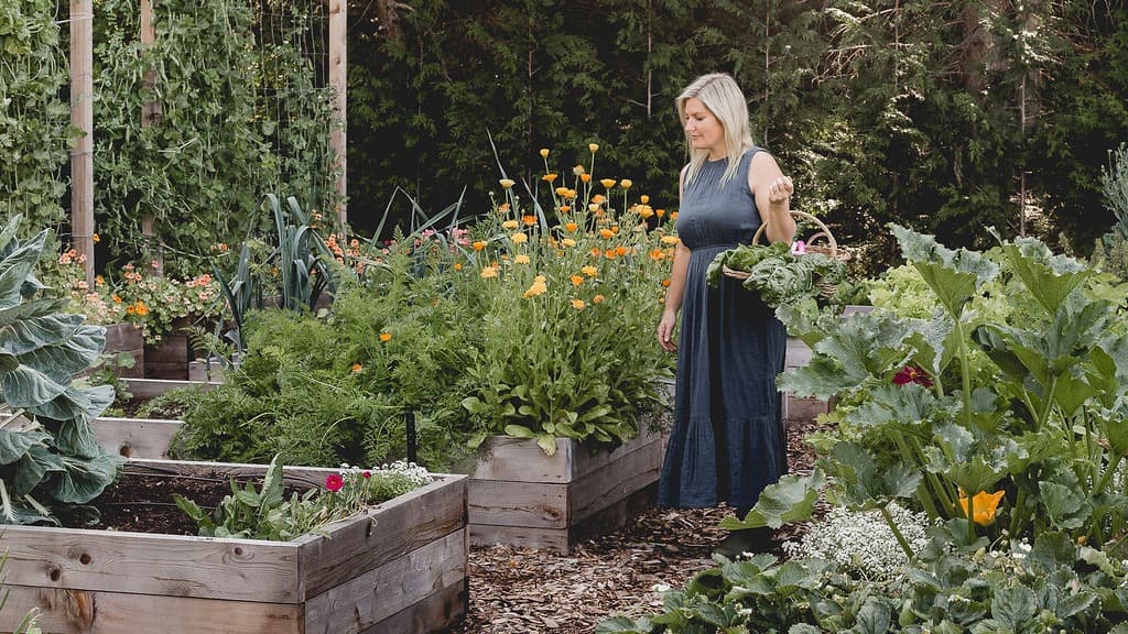 E-Book #2: Raised Garden Bed Planning Guide