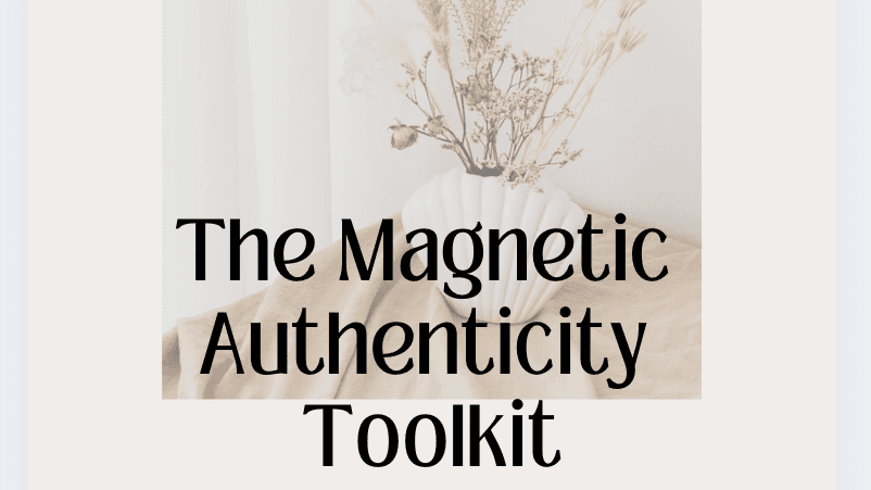 Magnetic Authenticity Toolkit