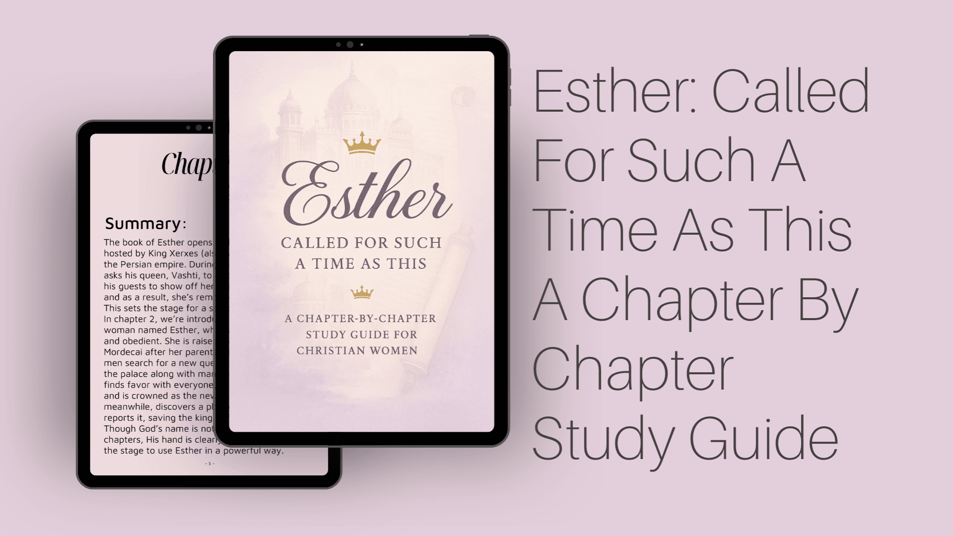 Esther A Chapter By Chapter Study Guide