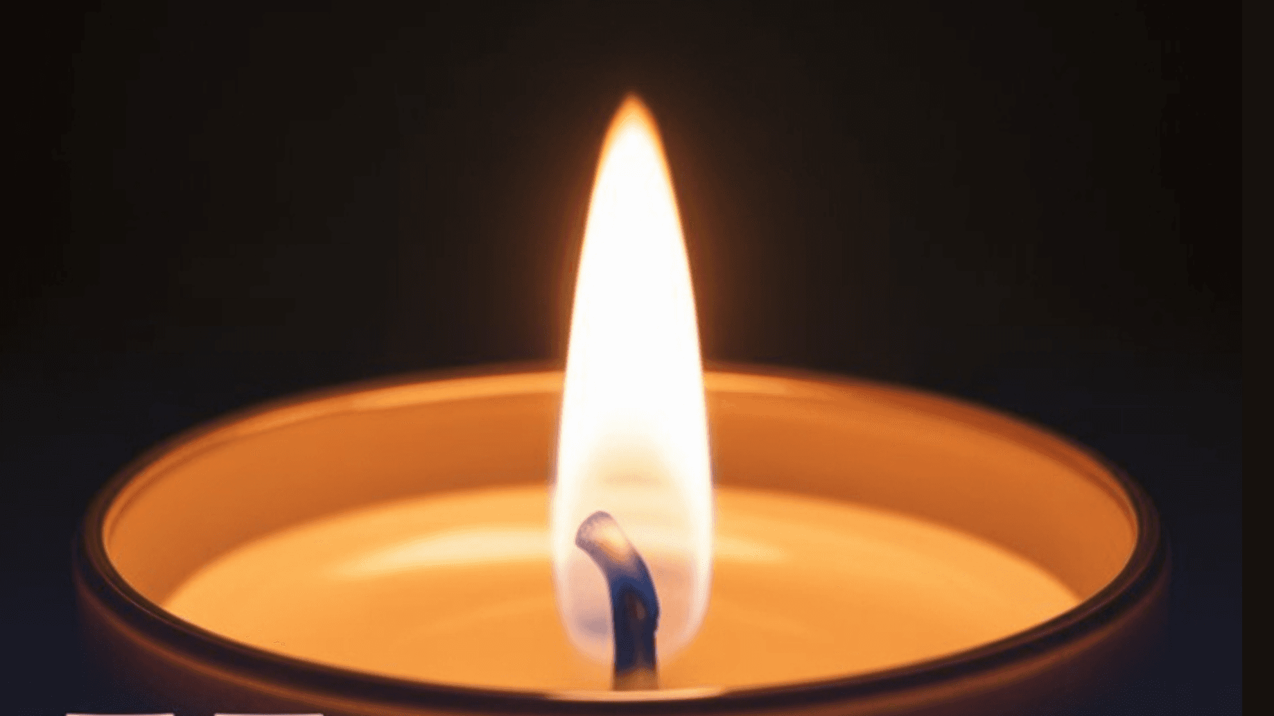 Honest in the Dark (Ebook)