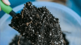 Soil Science CEU