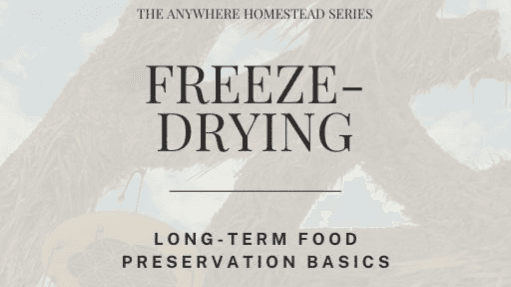 Freeze-Drying Guide
