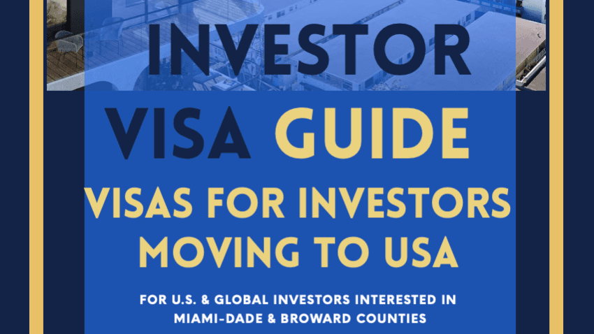 FREEBIE!  VISA GUIDE FOR INVESTORS Mini Guide