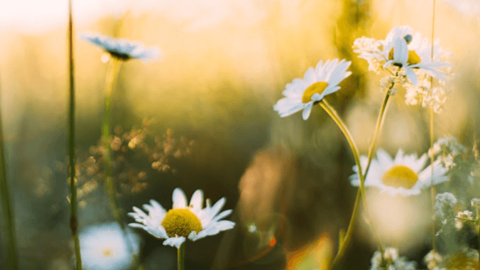 4 Wochen Morgenpraxis 