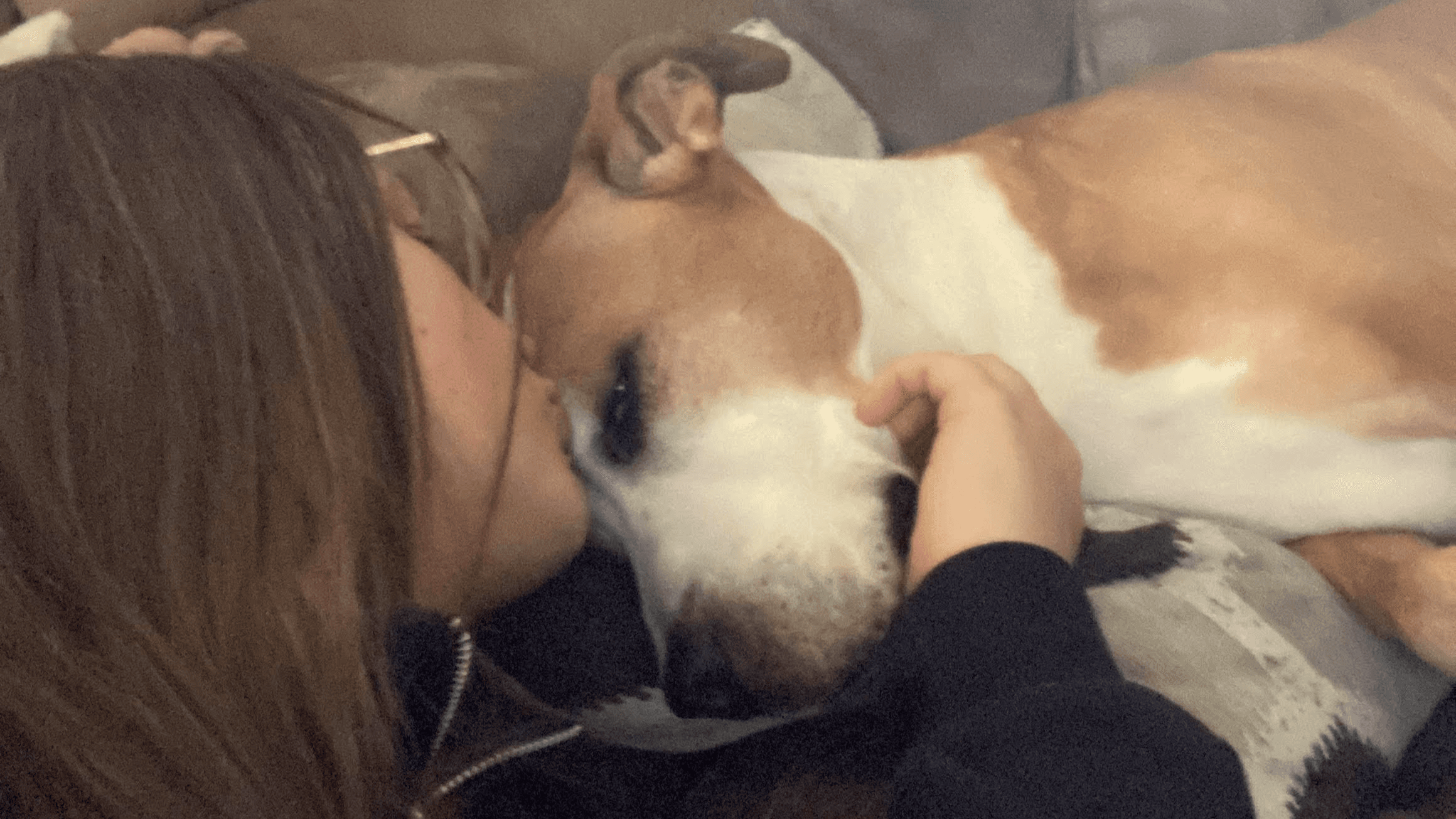 Free Grief Session With Laura