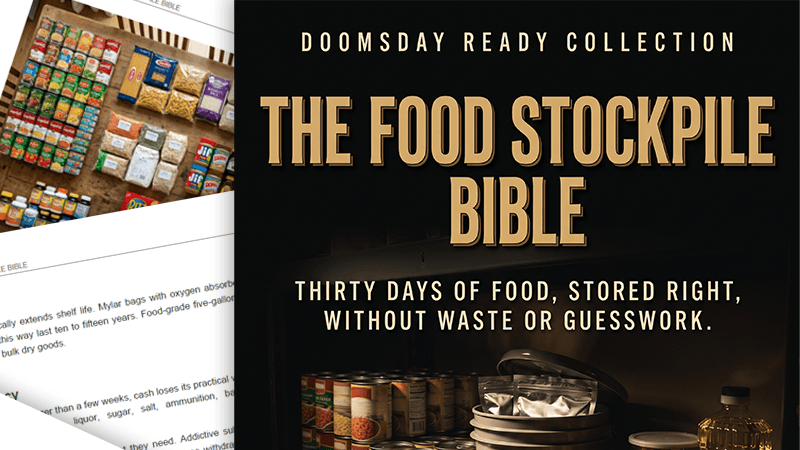 Guide 03: The Food Stockpile Bible