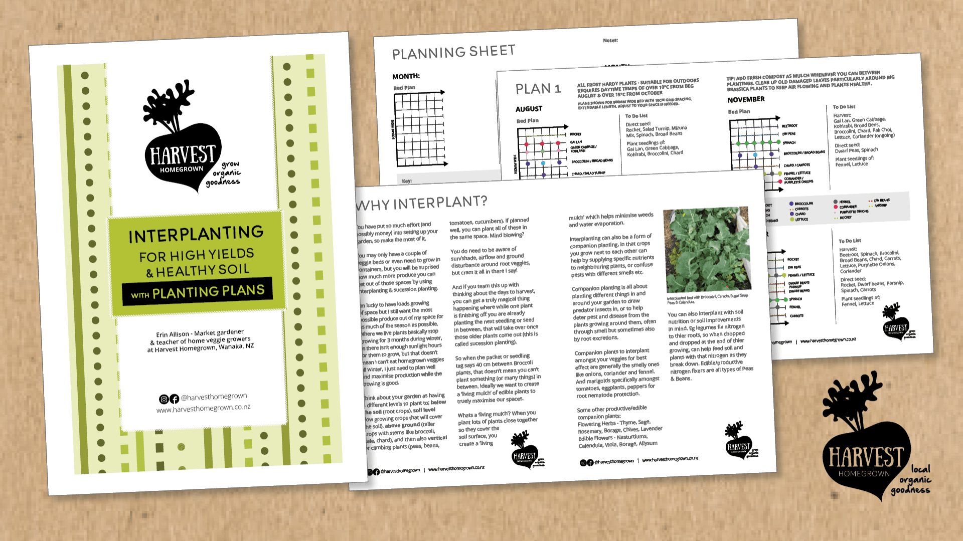 Interplanting for high yields & healthy soil
