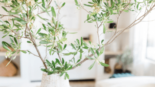 Spring Clean Guide - Bonus Kids Spring Clean Guide