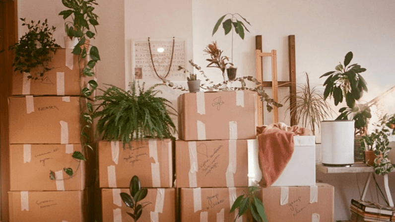 Home Seller Downsizing Guide