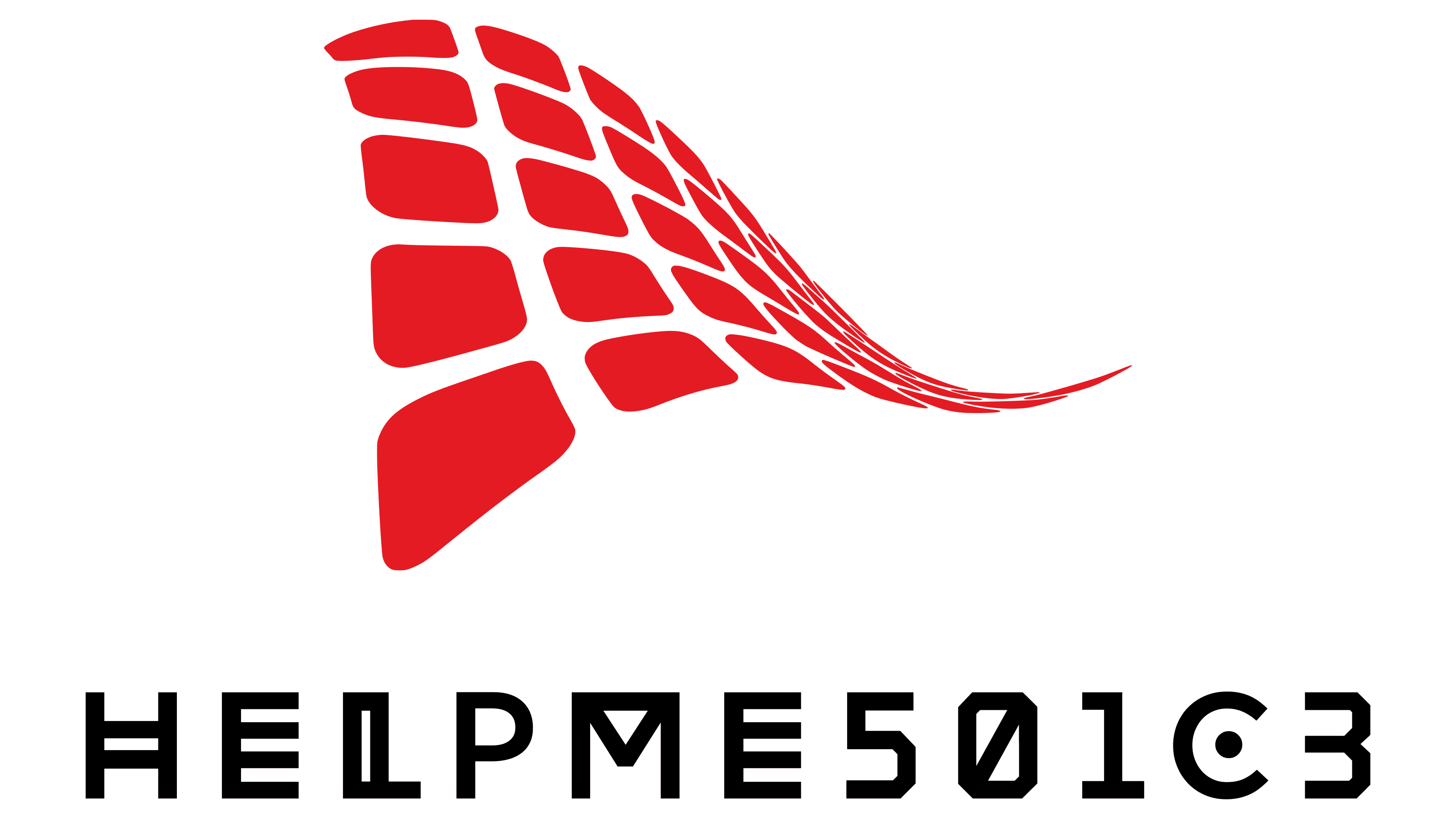 HelpMe501(c)(3) – 6-Month Consulting Program