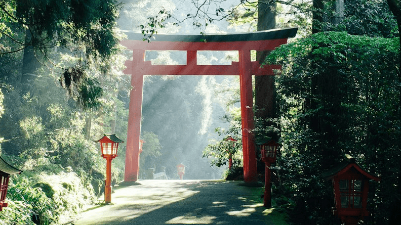 Coco’s Japan Travel Guide 🇯🇵
