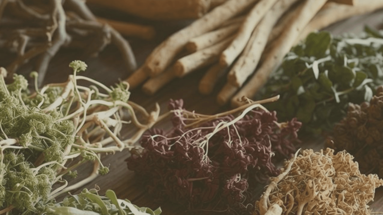Book Naturopathy Consultation (online)
